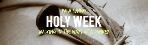 1_palm sunday_walking in the ways of a donkey
